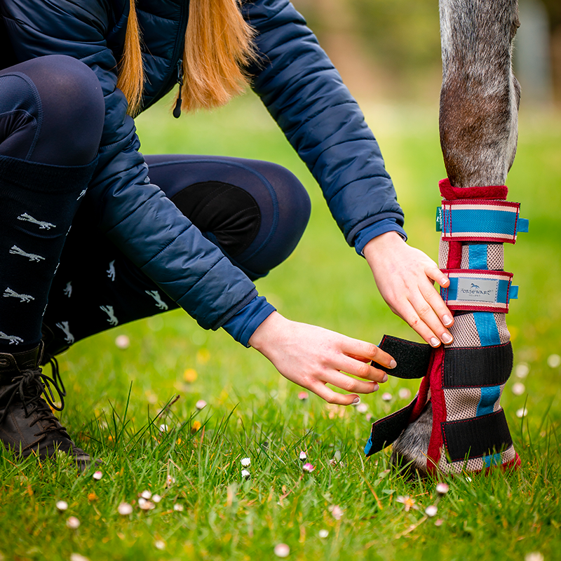 Horseware - Guêtres anti-mouches Flyboot beige/ cerise/ pêche/ bleu | - Ohlala