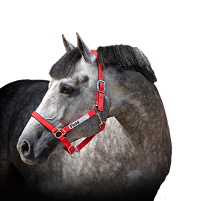 Horseware - Licol pour chevaux de sécurité Field Safe rouge | - Ohlala