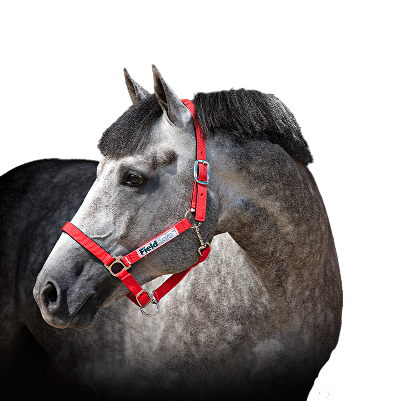 Horseware - Licol pour chevaux de sécurité Field Safe rouge | - Ohlala