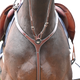 Jump'In - Collier de chasse et fourche de martingale Premium Clincher havane | - Ohlala