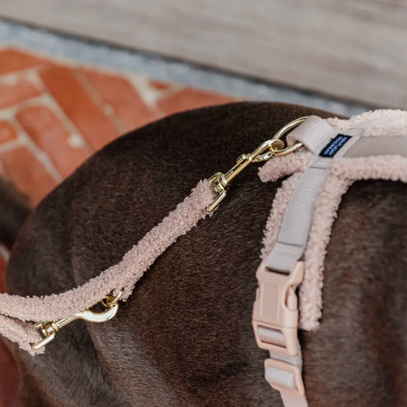 Kentucky Dogwear - Laisse pour chien Teddy Fleece beige 200 cm | - Ohlala