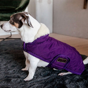 Kentucky Dogwear - Manteau pour chiens Original Royal violet | - Ohlala