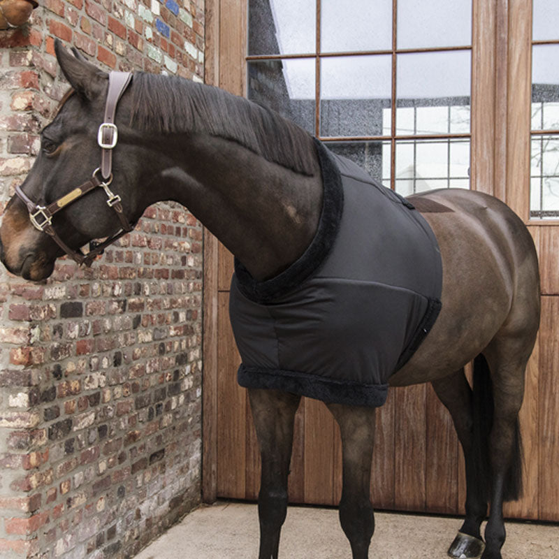 Kentucky Horsewear - Protège poitrail noir | - Ohlala