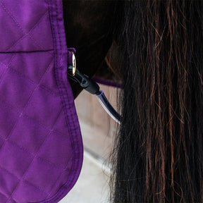 Kentucky Horsewear - Couverture de présentation velvet violet 160g | - Ohlala