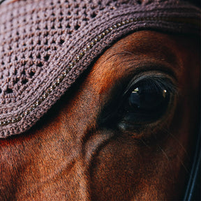 Kentucky Horsewear - Bonnet Wellington Sparkling Anti-bruits marron | - Ohlala