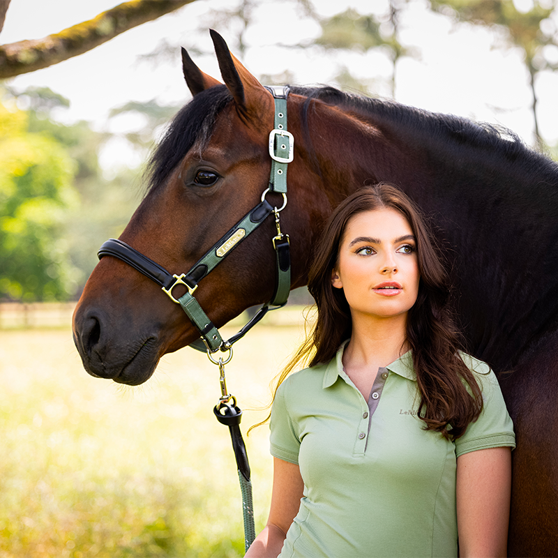 Lemieux - Licol pour chevaux Capella thyme | - Ohlala