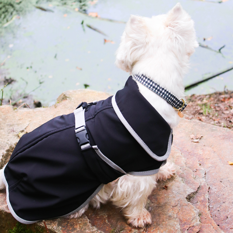 Diego & Louna - Manteau pour chiens softshell | - Ohlala