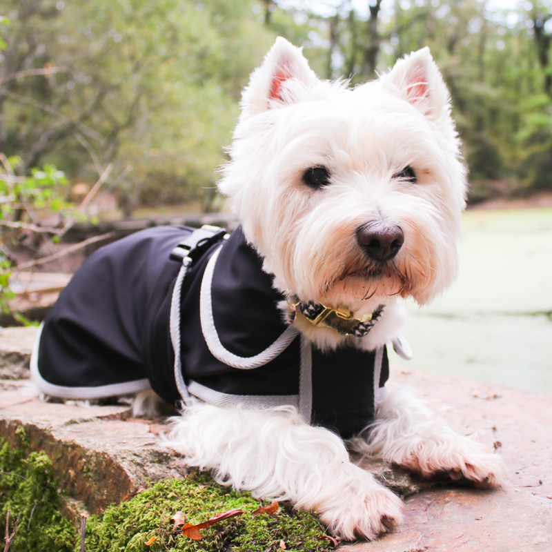 Diego & Louna - Manteau pour chiens softshell | - Ohlala