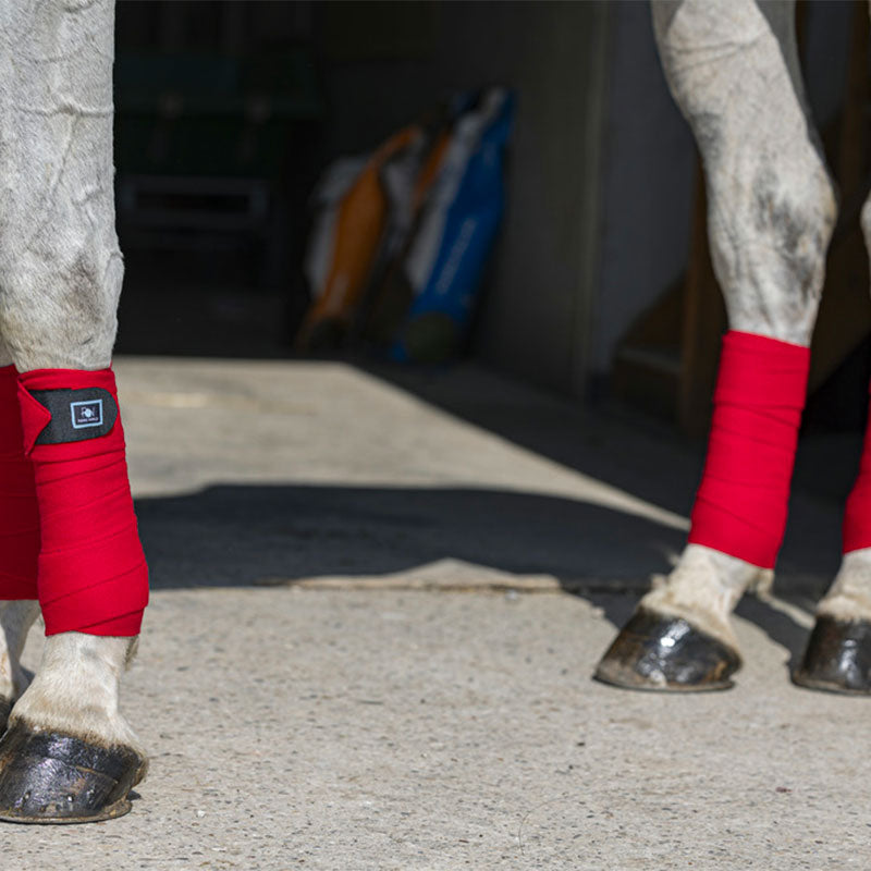 Riding World - Bandes de polo Eco rouge | - Ohlala