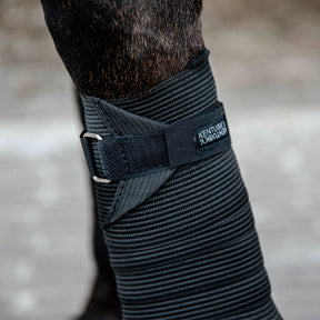 Kentucky Horsewear - Bandes de polo élastiques noir (x2) | - Ohlala