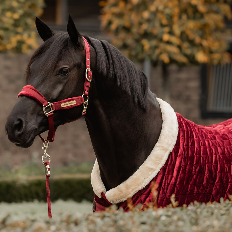 Kentucky Horsewear - Couverture de présentation velvet bordeaux 160g | - Ohlala