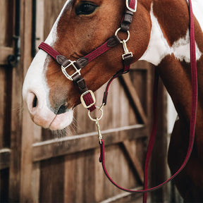 Kentucky Horsewear - Longe nylon tressé bordeaux 2m | - Ohlala