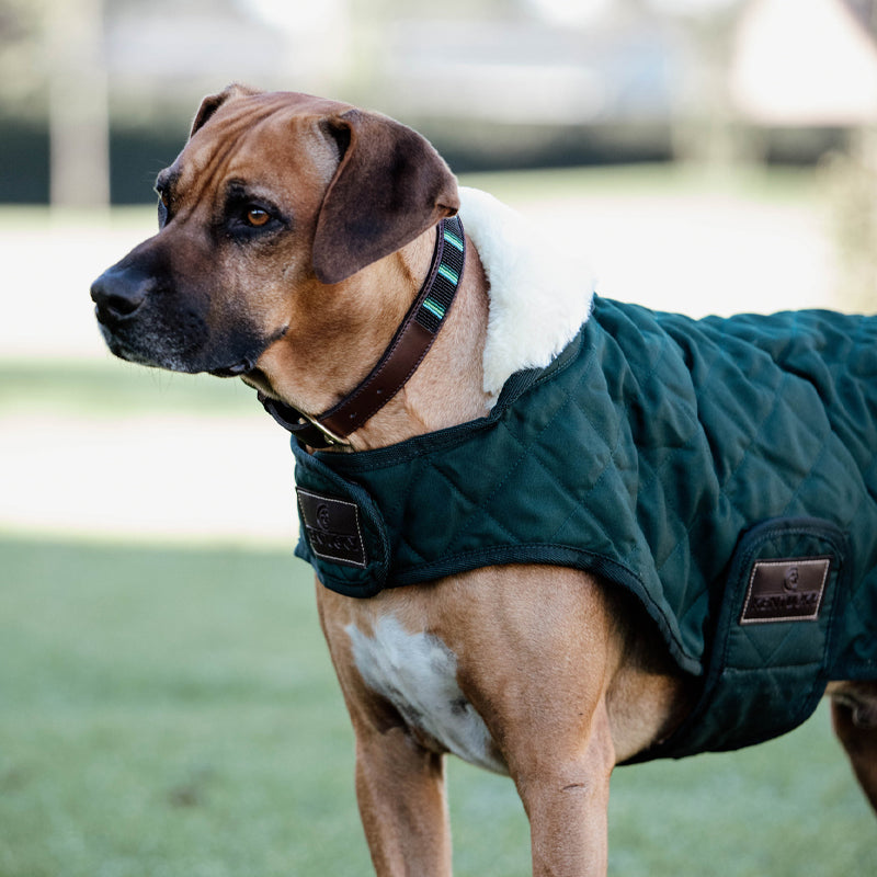 Kentucky Dogwear - Manteaux pour chiens 160g vert foncé | - Ohlala