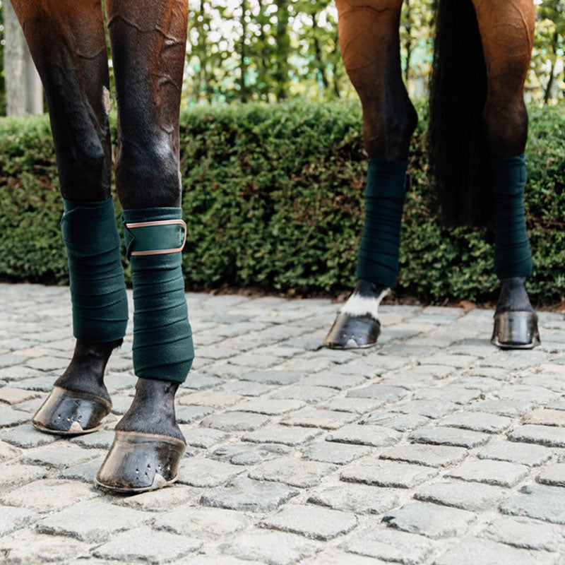 Kentucky Horsewear - Bandes de polo vert (x4) | - Ohlala