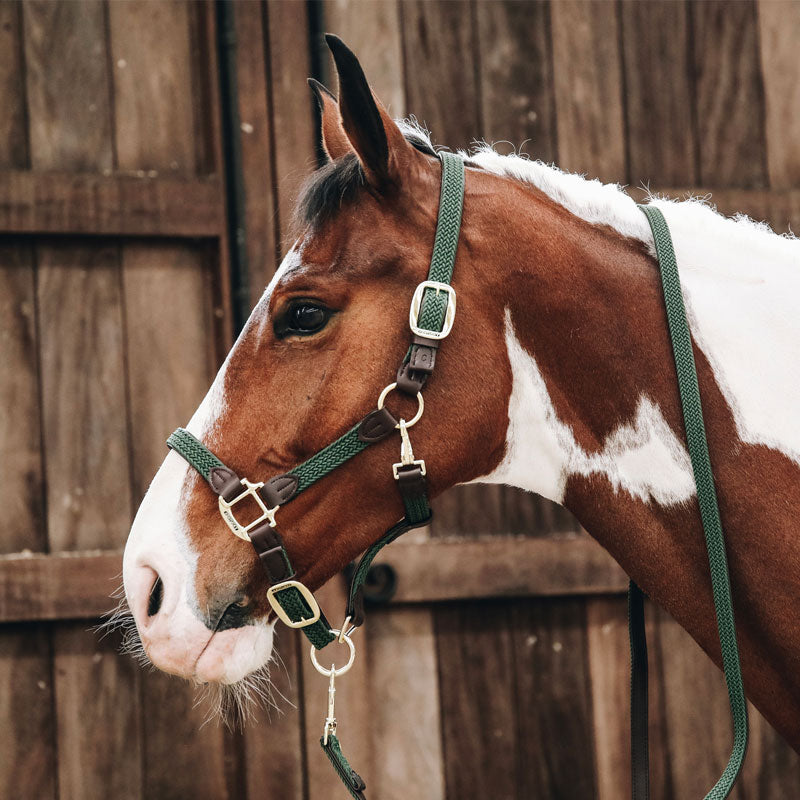 Kentucky Horsewear - Licol cheval nylon tressé vert olive | - Ohlala