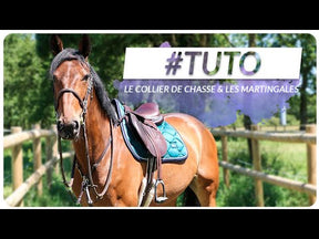 Privilege Equitation - Elastic hunting collar La Baule