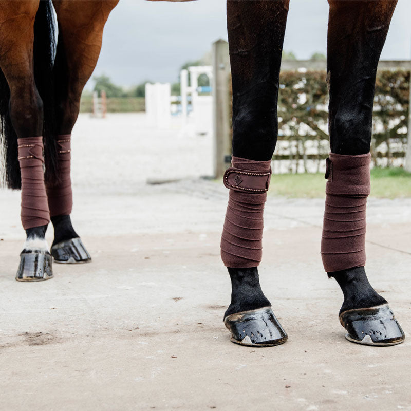 Kentucky Horsewear - Bandes de polo pearls marron (x4) | - Ohlala