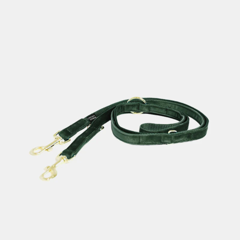 Kentucky Dogwear - Laisse de chien velvet pine green 2m | - Ohlala