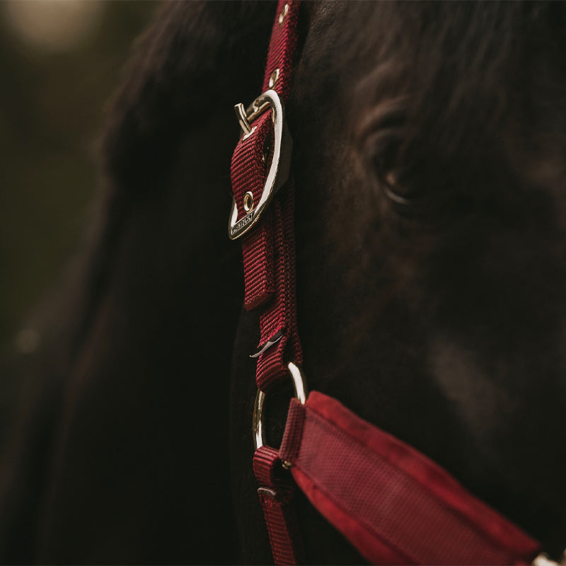 Kentucky Horsewear - Licol velvet bordeaux | - Ohlala