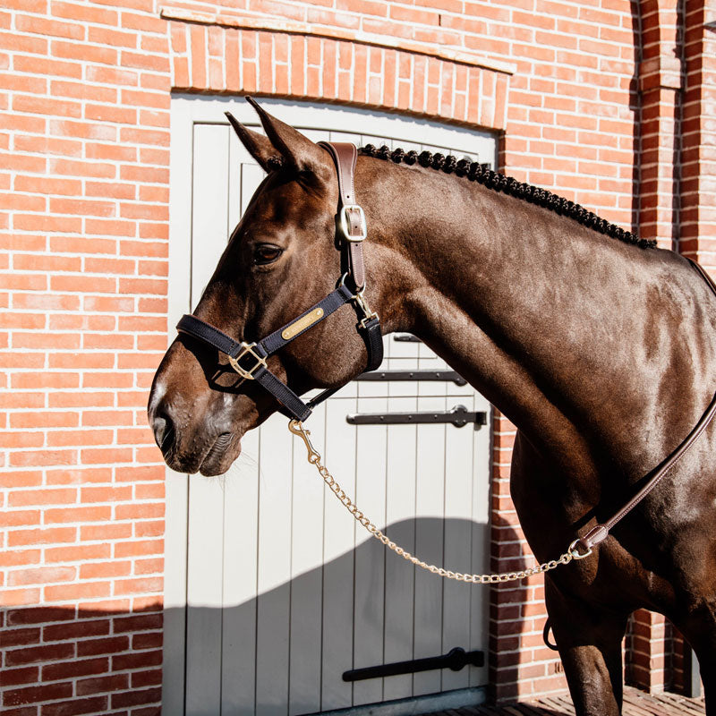 Kentucky Horsewear - Longe de présentation marron | - Ohlala