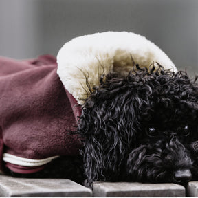 Kentucky Dogwear - Manteau chien heavy fleece bordeaux | - Ohlala