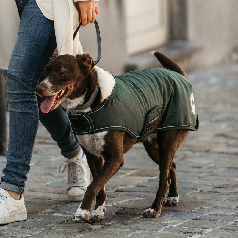 Kentucky Dogwear - Manteaux pour chiens Waterproof | - Ohlala