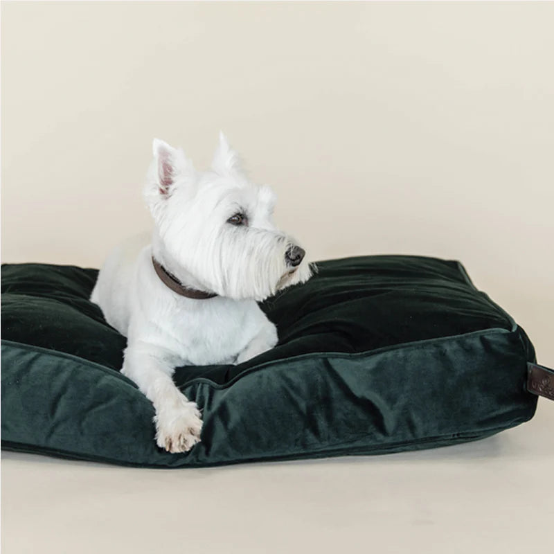 Kentucky Dogwear - Oreiller Velvet pour chien vert sapin | - Ohlala