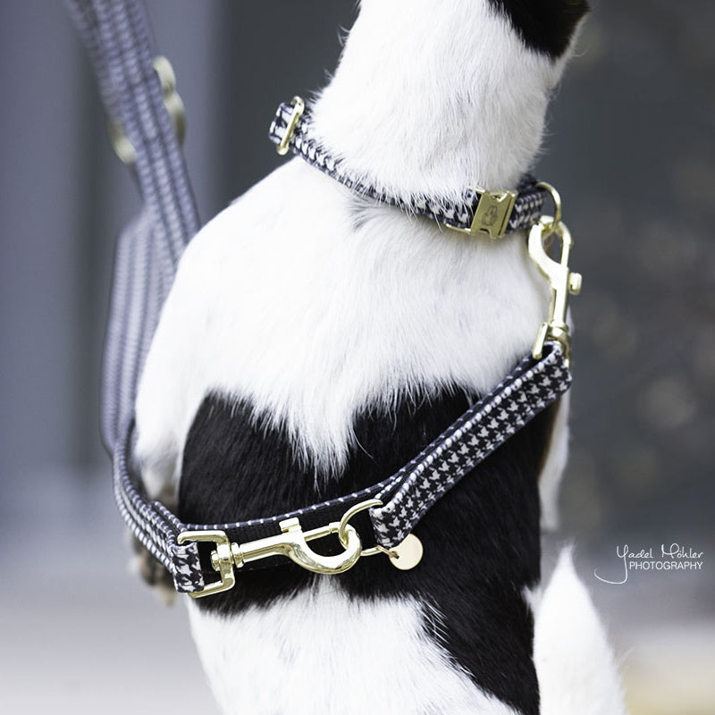 Kentucky Dogwear - Collier pour chien Pied de poule noir | - Ohlala