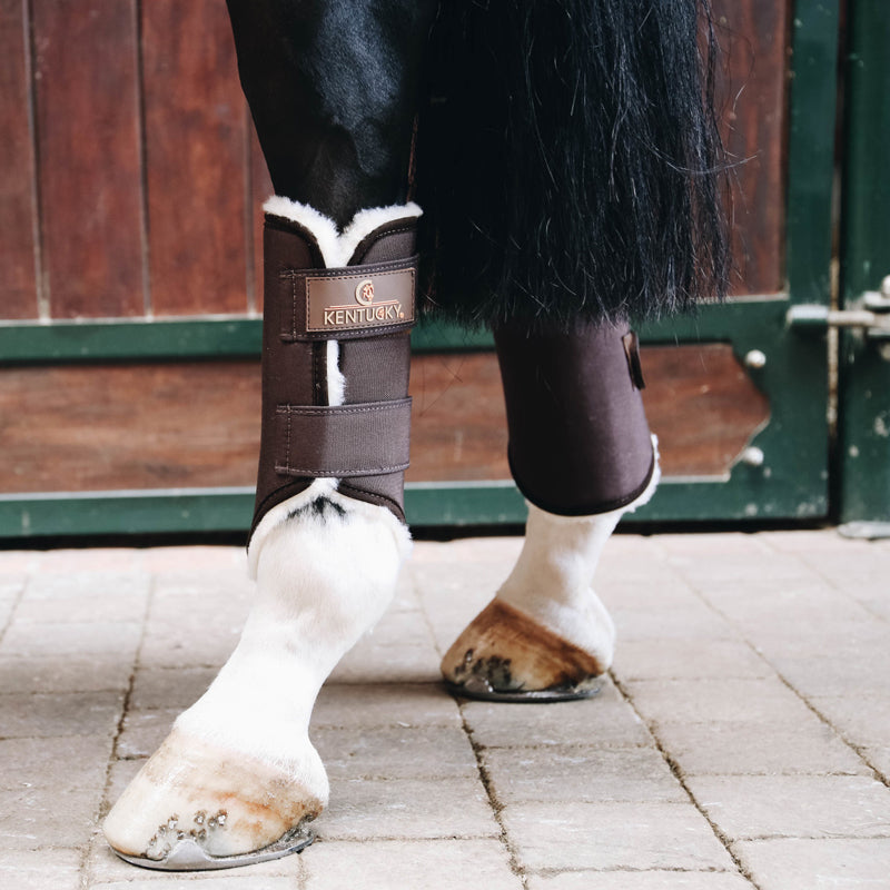 Kentucky Horsewear - Guêtres cheval Solimbra postérieurs marron | - Ohlala