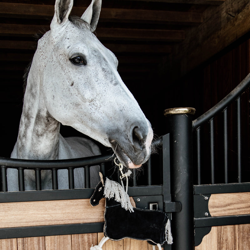 Kentucky Horsewear - Jouet pour chevaux Relax Pony noir | - Ohlala