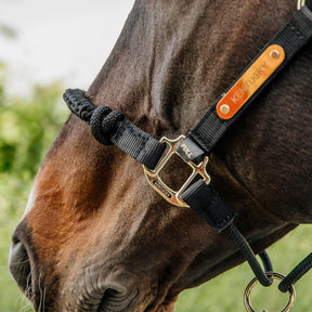 Kentucky Horsewear - Licol cheval Control | - Ohlala