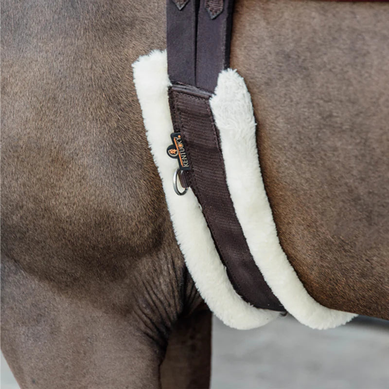 Kentucky Horsewear - Sangle mouton classique choco | - Ohlala