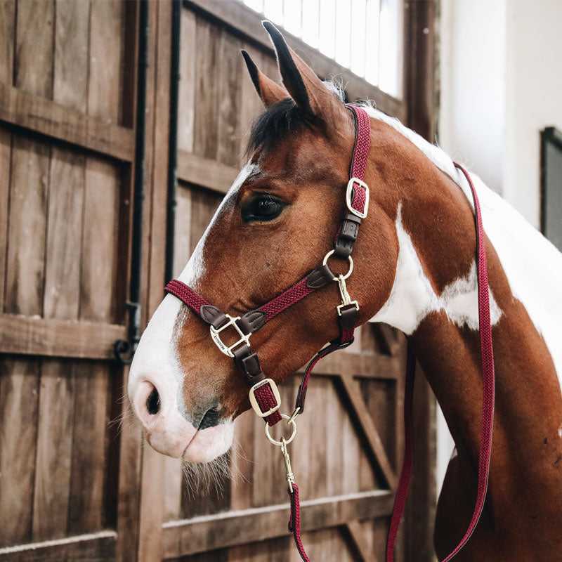 Kentucky Horsewear - Licol nylon tressé bordeaux | - Ohlala