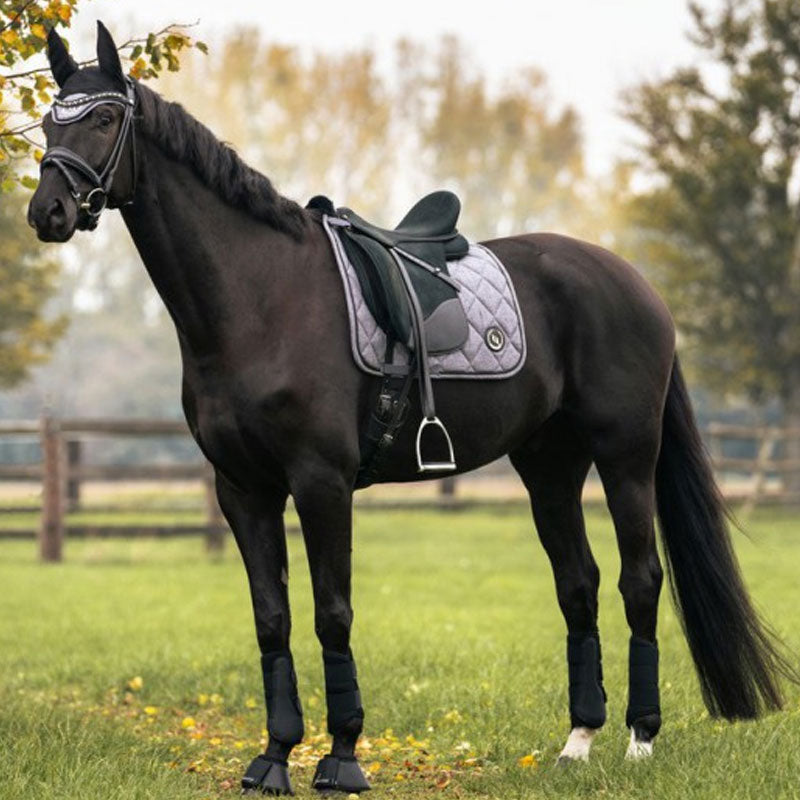 Back On Track - Tapis de dressage Haze gris | - Ohlala