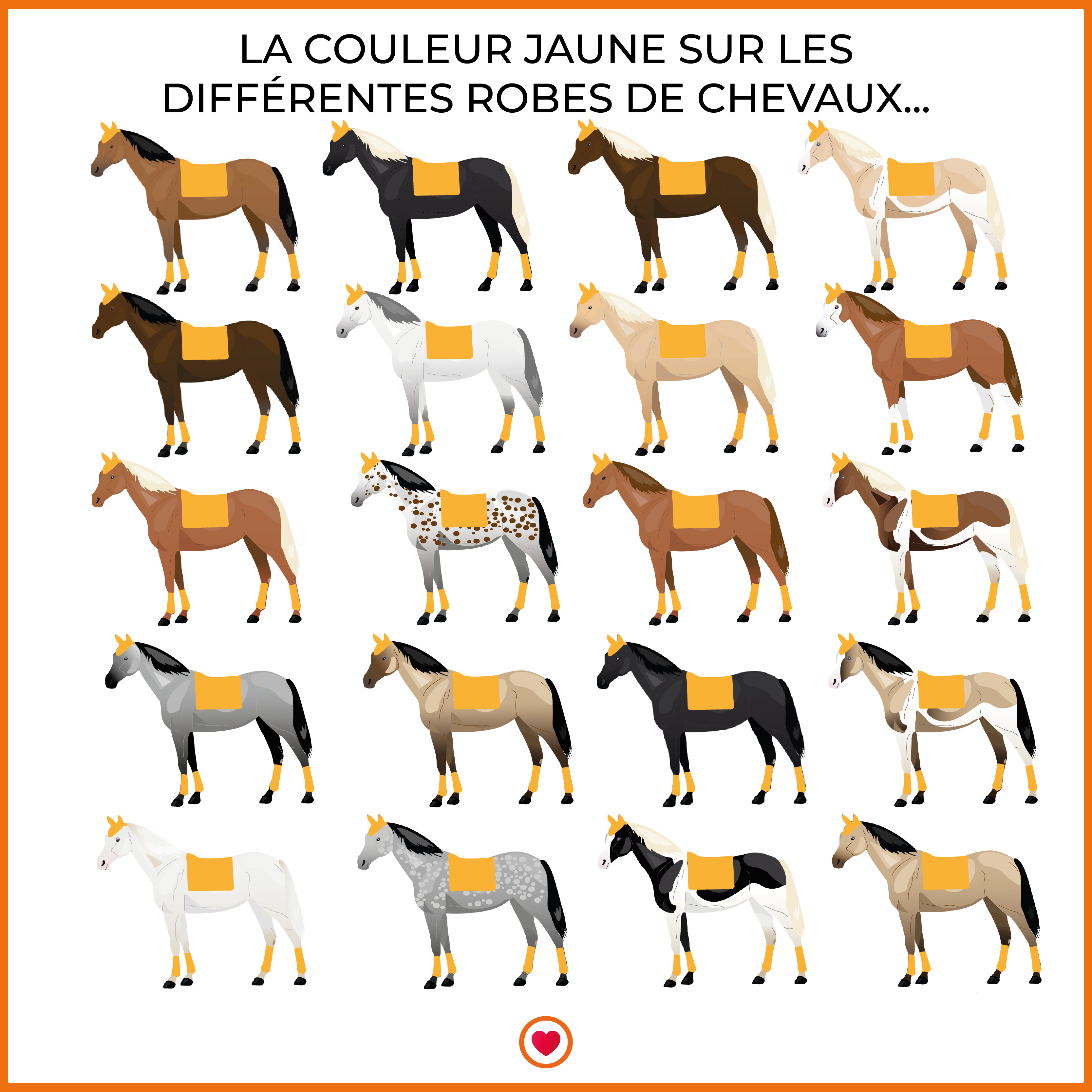 Tacante - Tapis de dressage Excel-Anse jaune d'or | - Ohlala