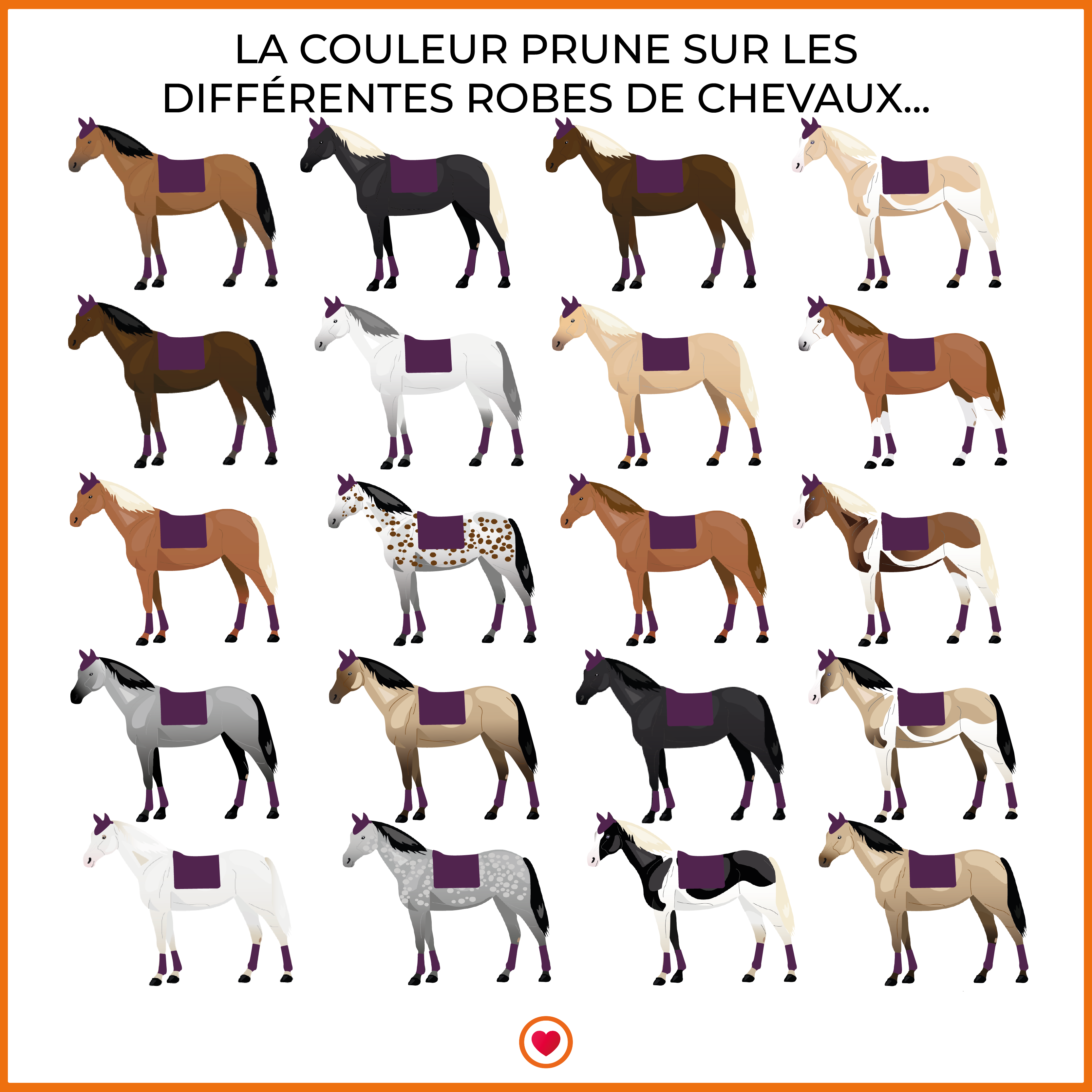 Paddock Sport - Tapis de selle prems prune | - Ohlala