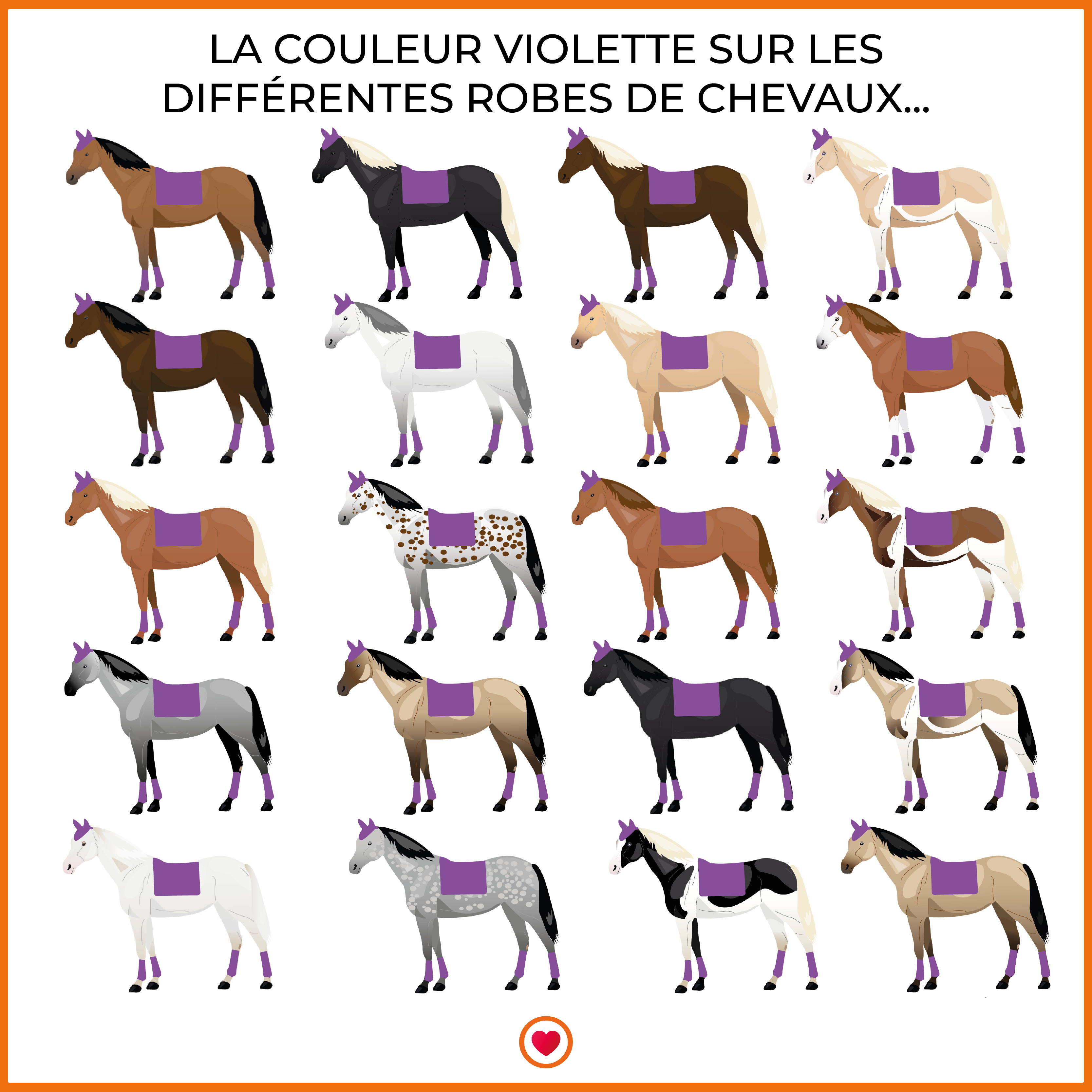Kentucky Horsewear - Tapis de dressage velvet contrast violet royal | - Ohlala